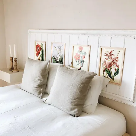 Mom La Punta Valência