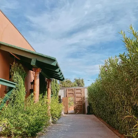 Mom La Punta Valência