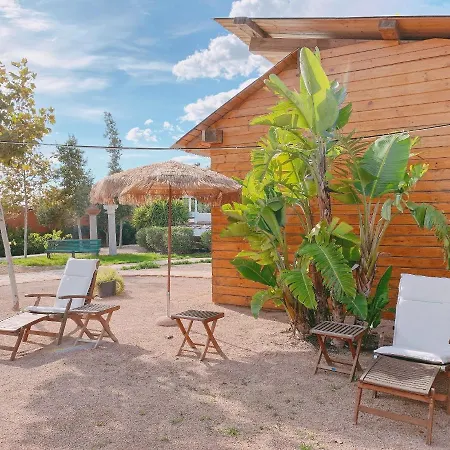 Mom La Punta Valência